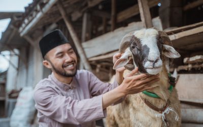 Keutamaan Berqurban di Hari Raya Idul Adha